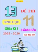 Tuyển tập 13 Đề thi giữa kì 1 năm học 2025-2026 môn Sinh học 11 Cánh Diều (Kèm đáp án)